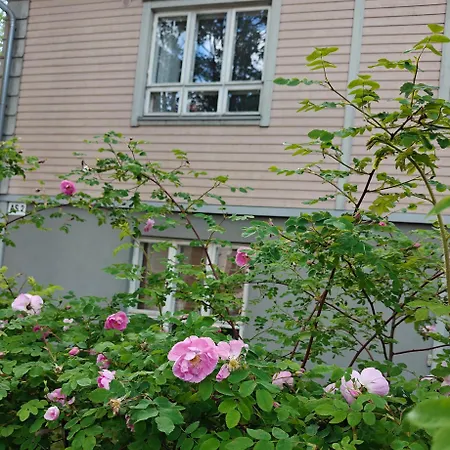 Daire Cozy City-center Beauty - One-bedroom With Sauna And Free Parking